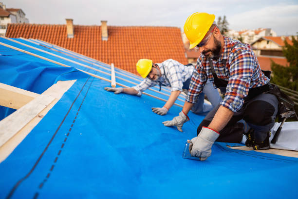 Best Rubber Roofing (EPDM, TPO)  in Elkins Rk, PA